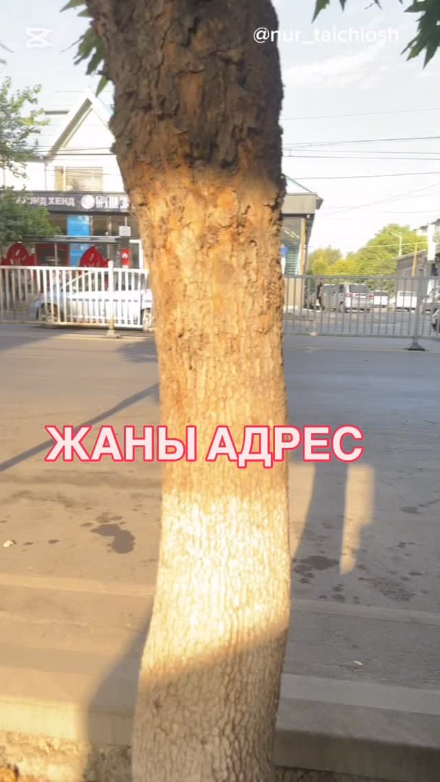 Post 10 by Тай-Цзи / Цигун / Иога /Массаж / Ош on Instagram (video)