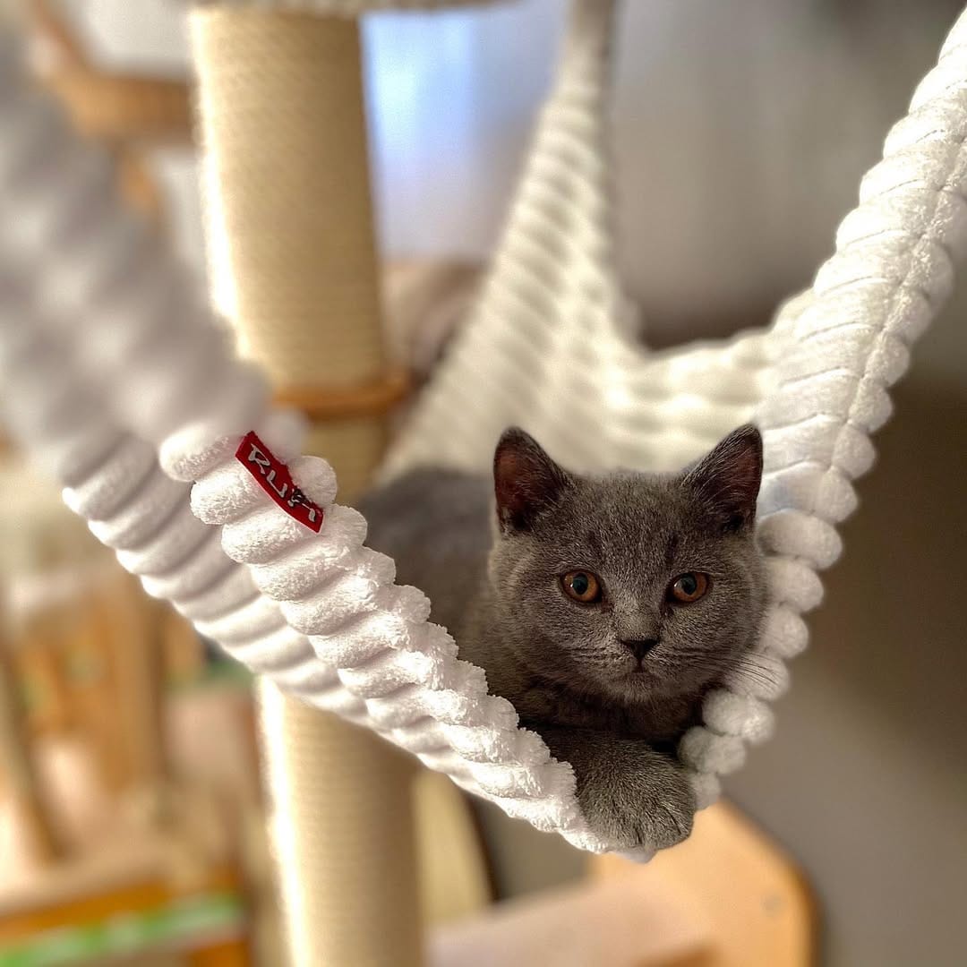 Post 2 by Ma Ik on Instagram (carousel)