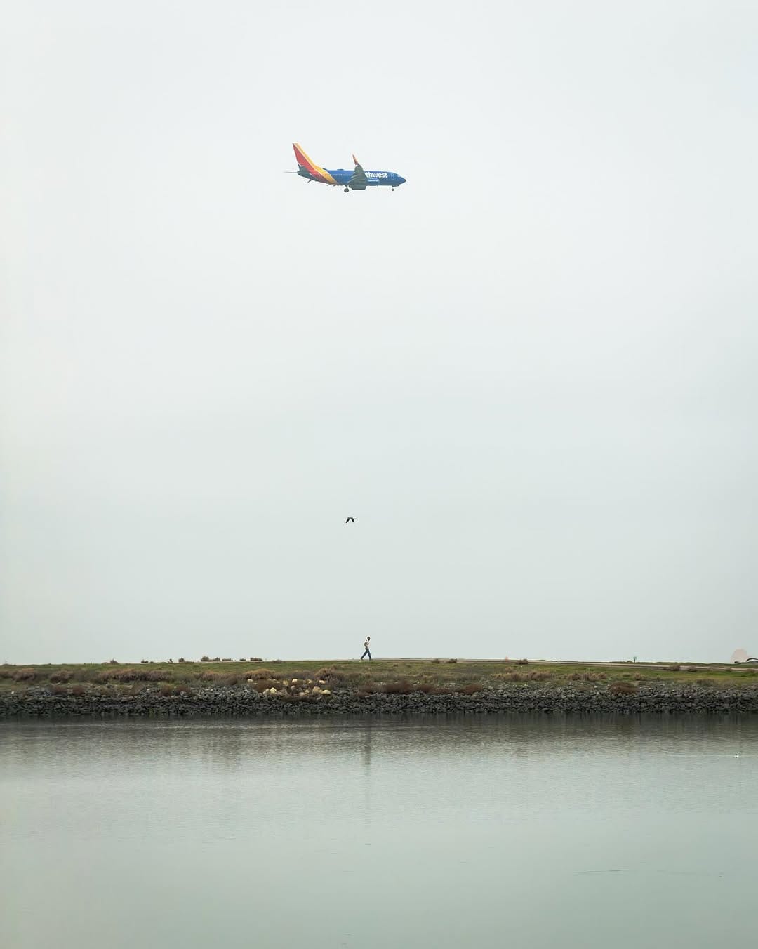 Post 8 by Kevin Lu on Instagram (image)