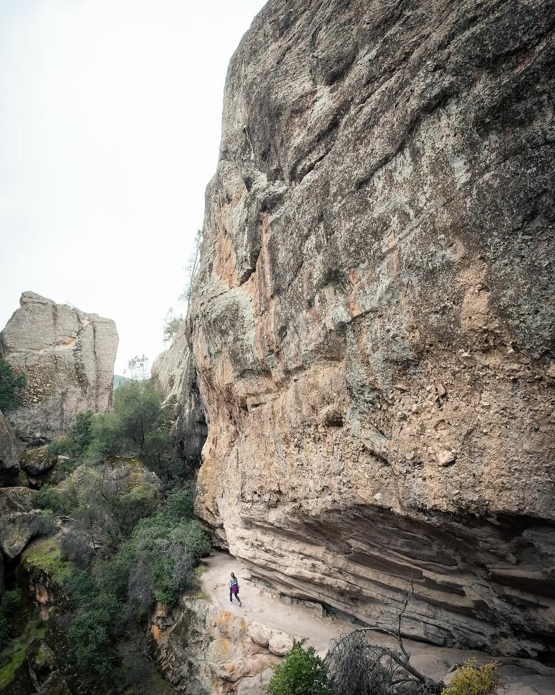 Post 5 by Kevin Lu on Instagram (image)