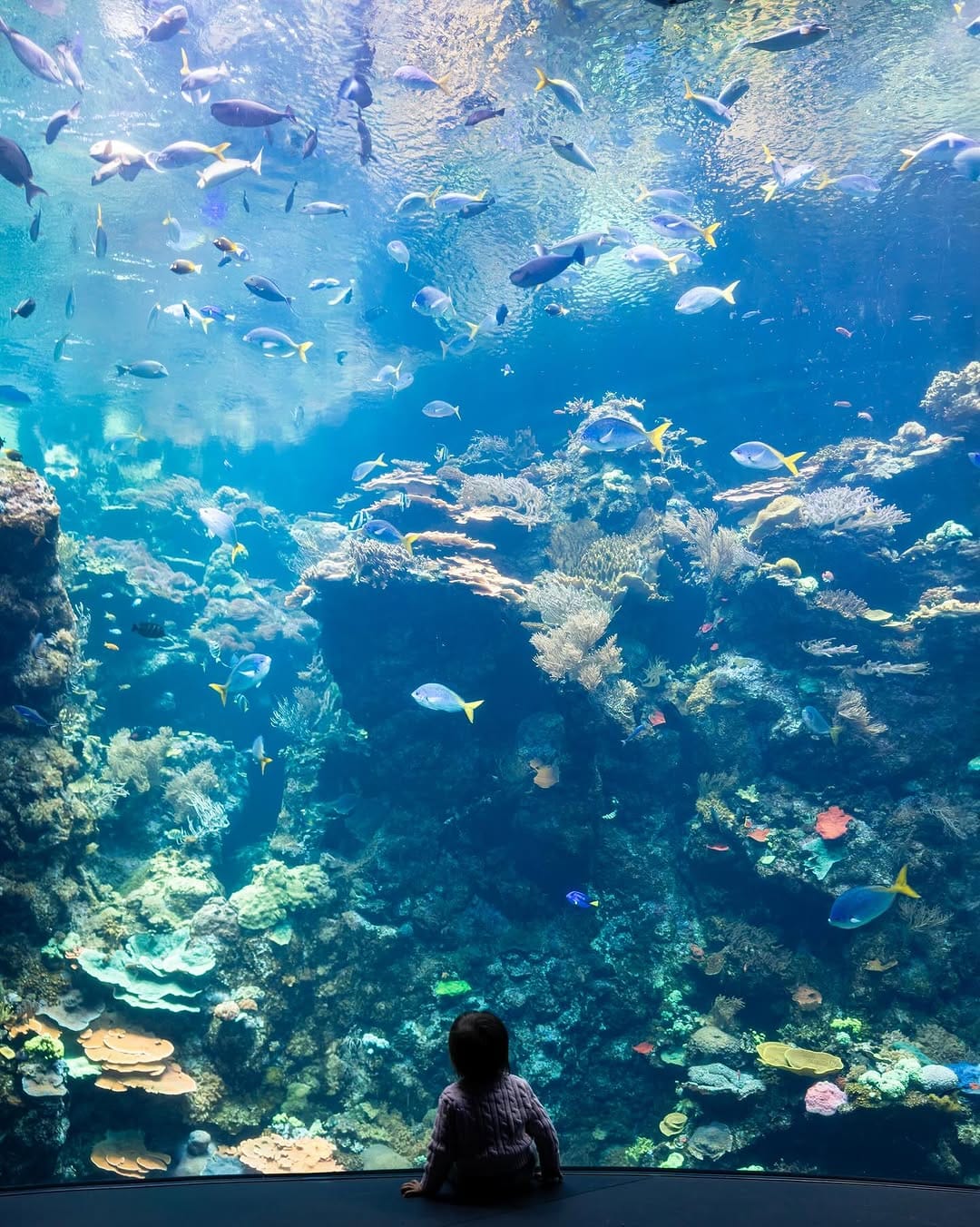 Post 7 by Kevin Lu on Instagram (image)