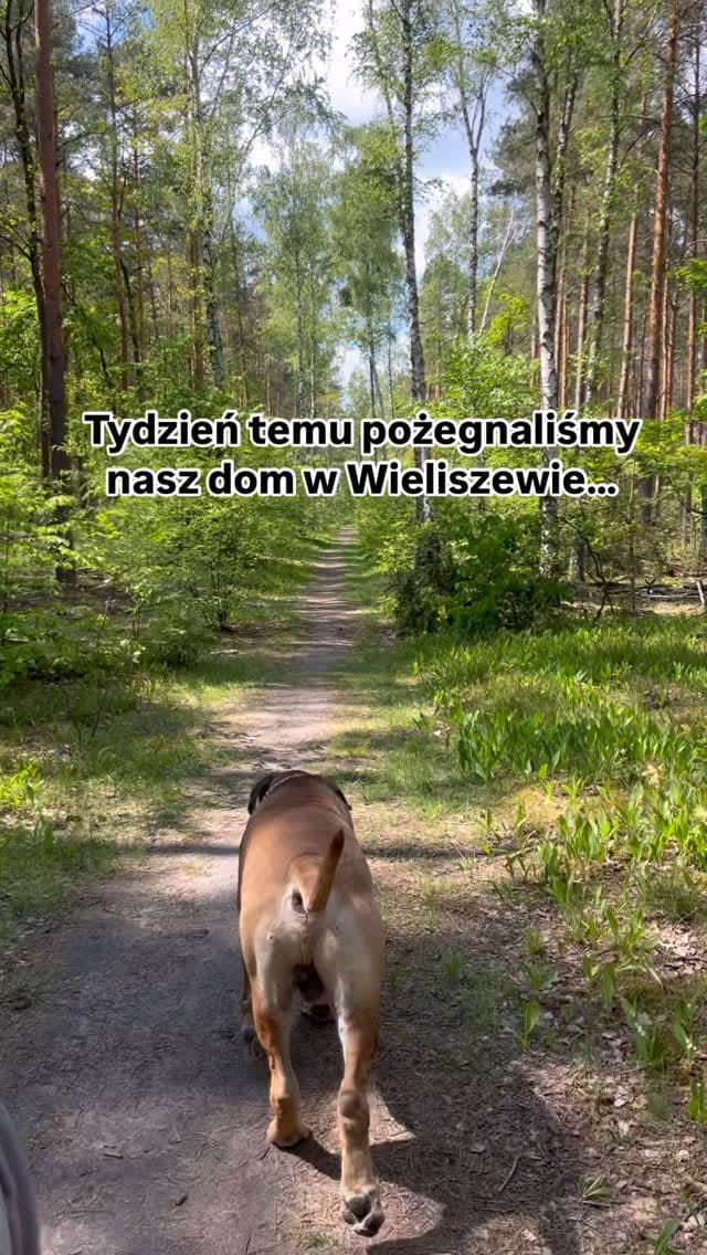 Post 6 by @ogonowska_maja on Instagram (video)