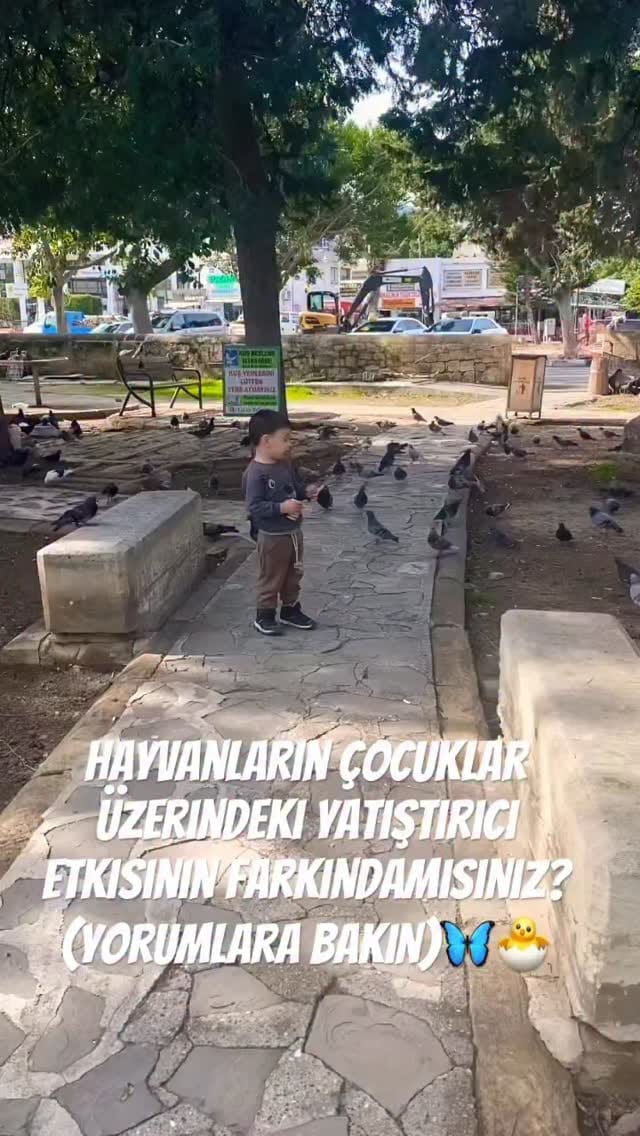 Post 4 by Çağla Kandil Karal on Instagram (video)