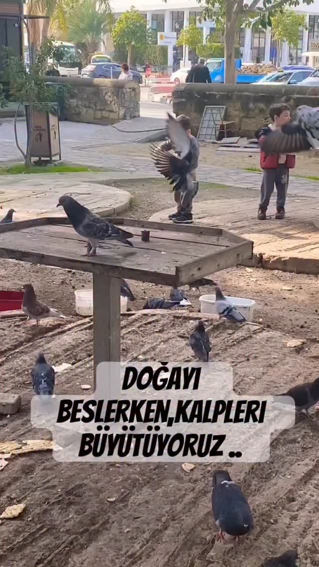 Post 3 by Çağla Kandil Karal on Instagram (video)