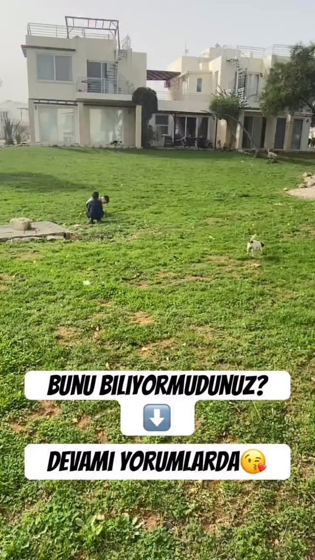 Post 5 by Çağla Kandil Karal on Instagram (video)