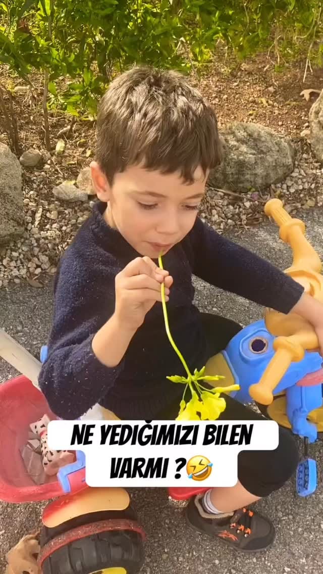Post 7 by Çağla Kandil Karal on Instagram (video)