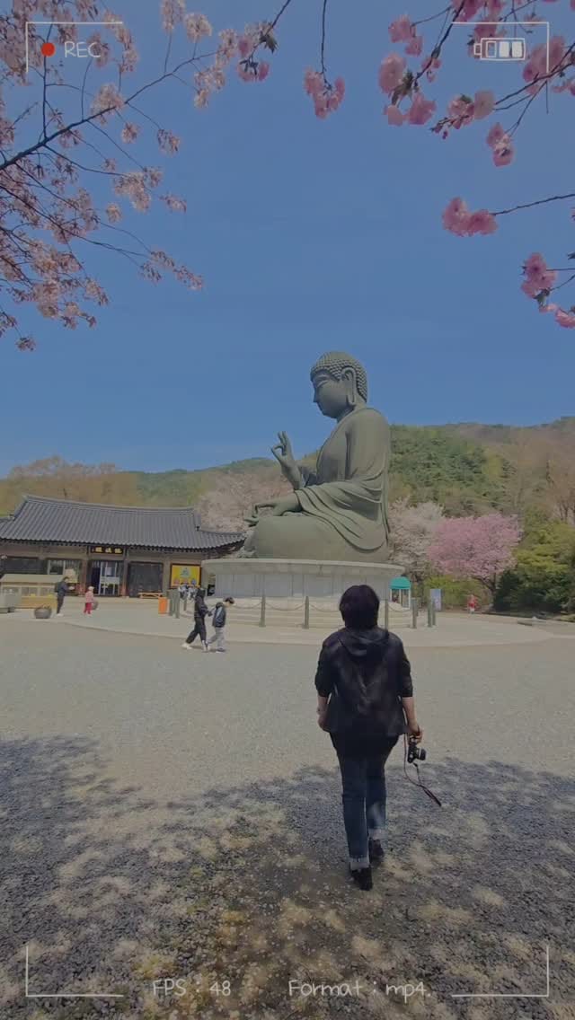 Post 10 by 송주희 on Instagram (video)