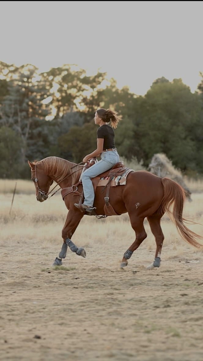 Post 7 by Madeline Mortensen on Instagram (video)