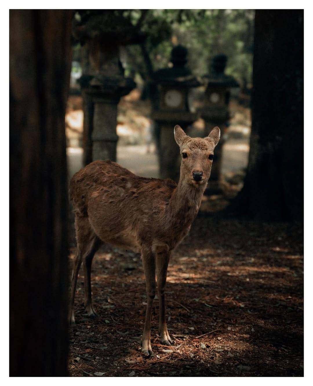 Post 5 by Noah Humphreys on Instagram (carousel)