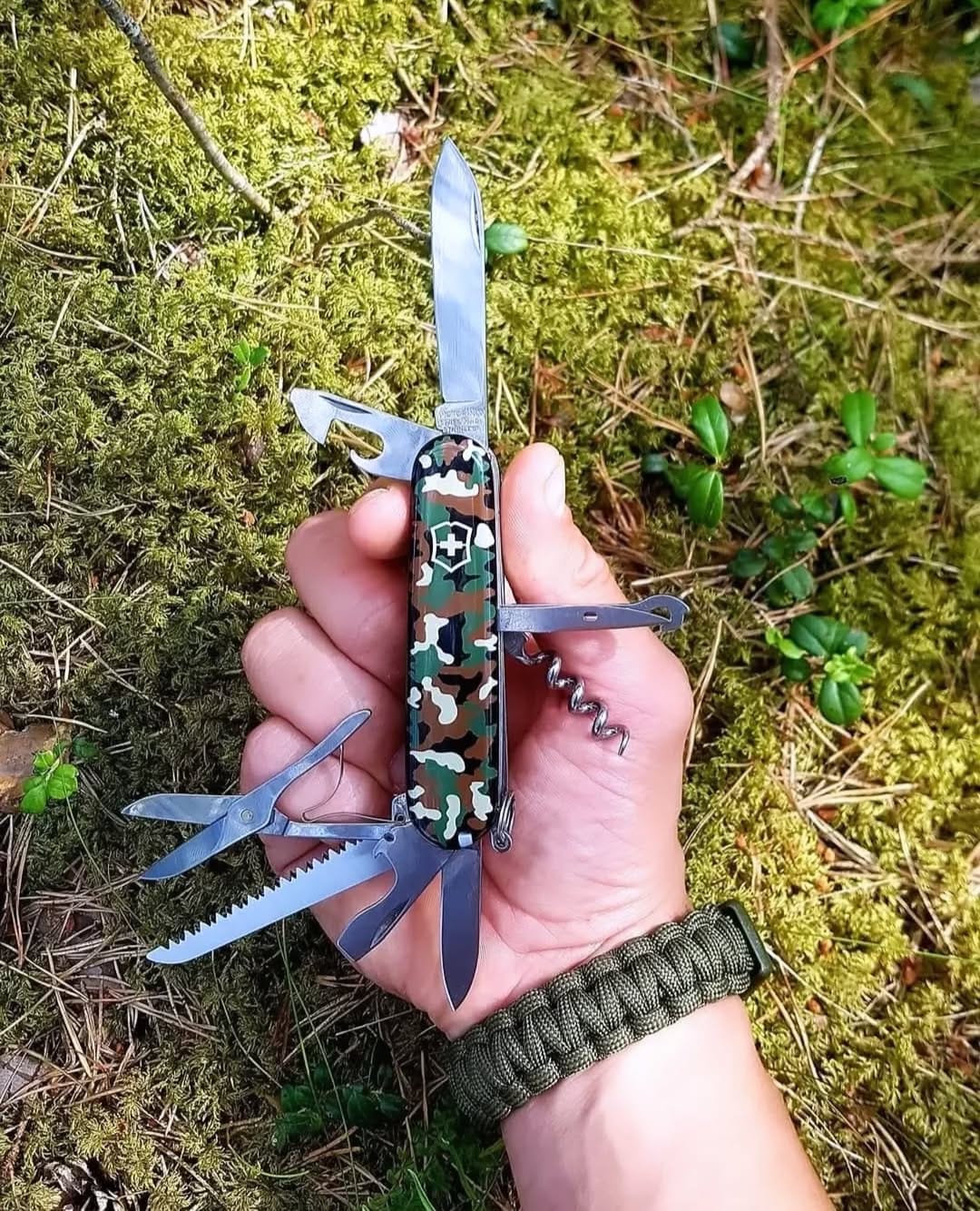 Post 9 by E.D.C on Instagram (image)