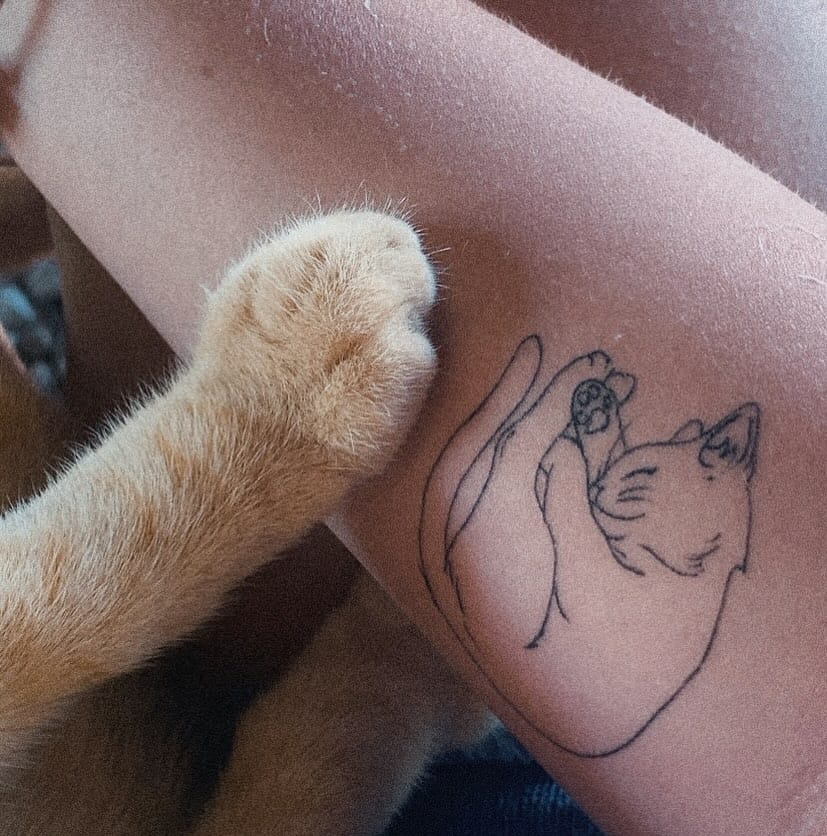 Post 8 by Heloisa Karoline Haetinger on Instagram (image)