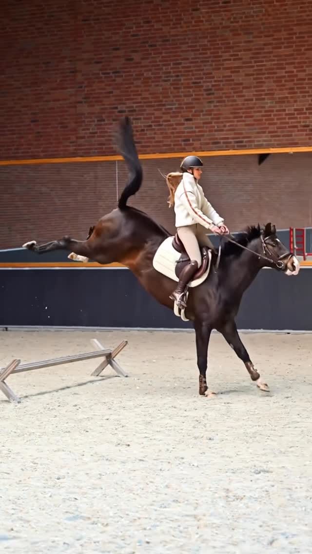 Post 8 by Bibi Van Gehlen❤ on Instagram (video)