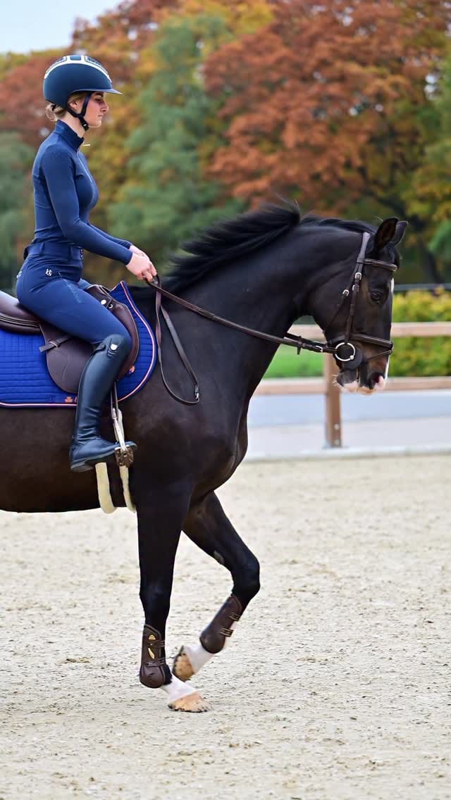 Post 7 by Bibi Van Gehlen❤ on Instagram (video)