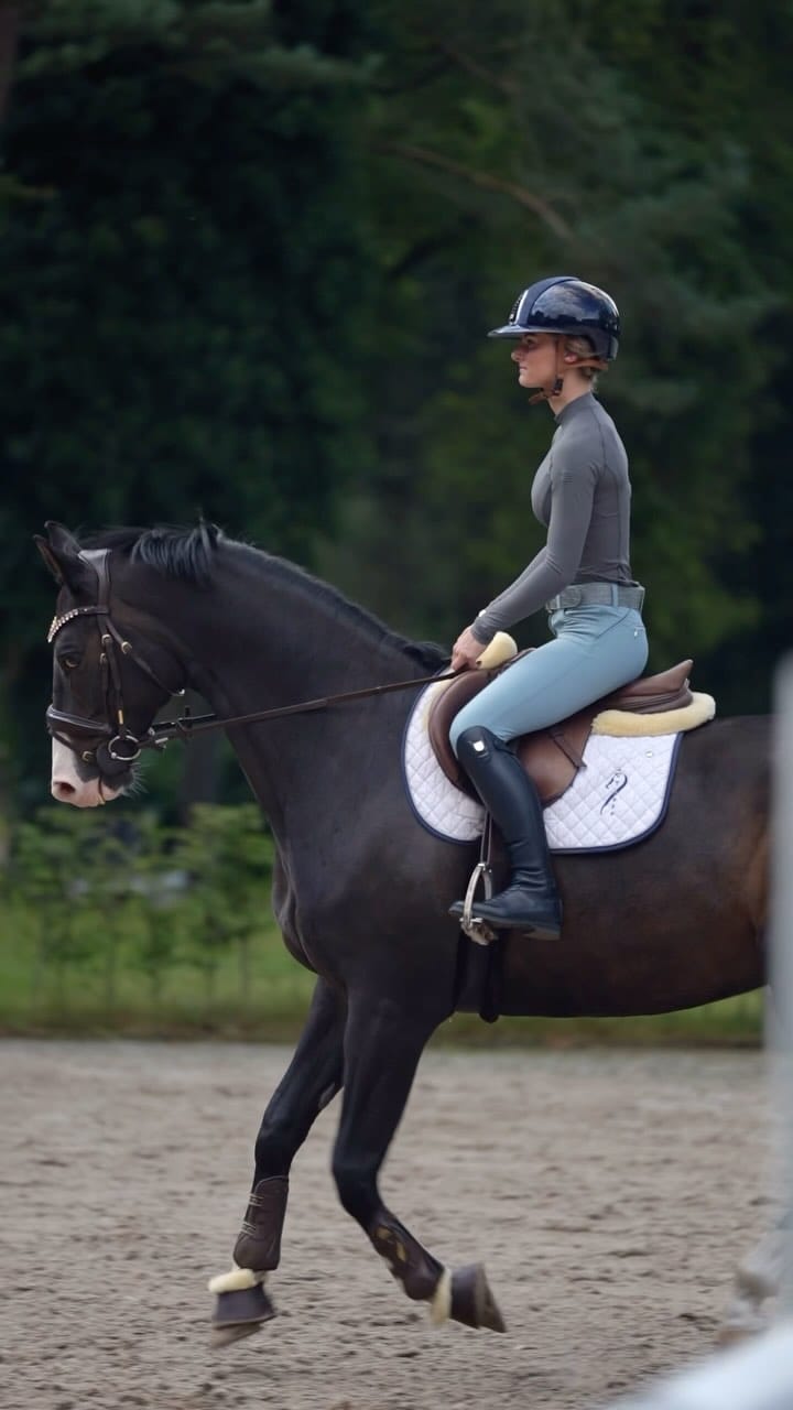 Post 9 by Bibi Van Gehlen❤ on Instagram (video)