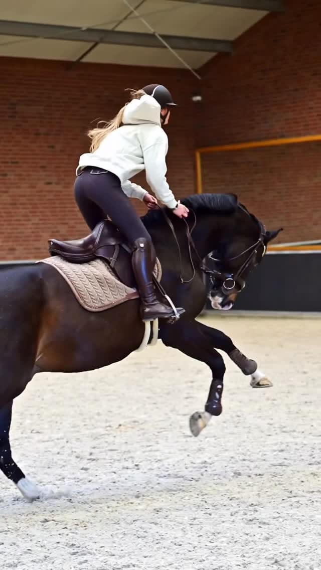 Post 2 by Bibi Van Gehlen❤ on Instagram (video)