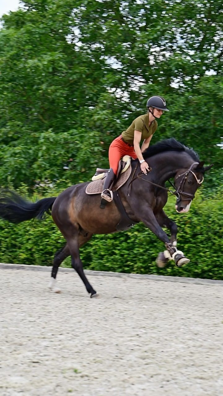 Post 10 by Bibi Van Gehlen❤ on Instagram (video)