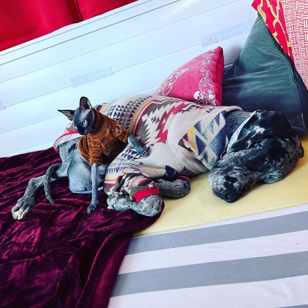 Post 5 by Alex on Instagram (image)