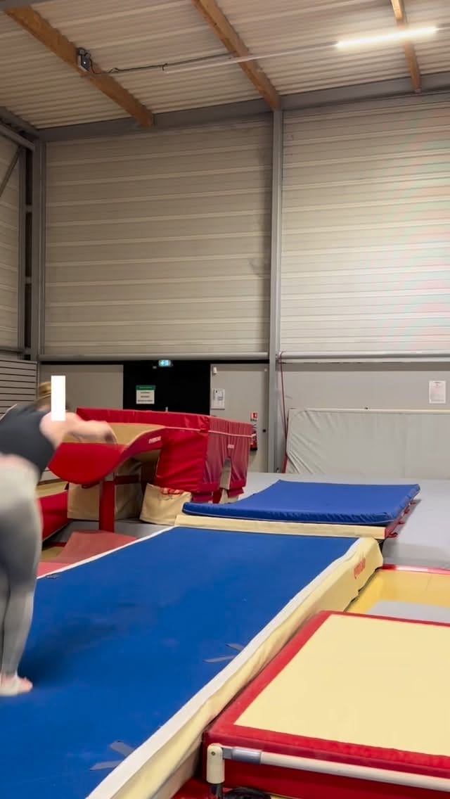 Post 4 by Camille Bahl on Instagram (video)