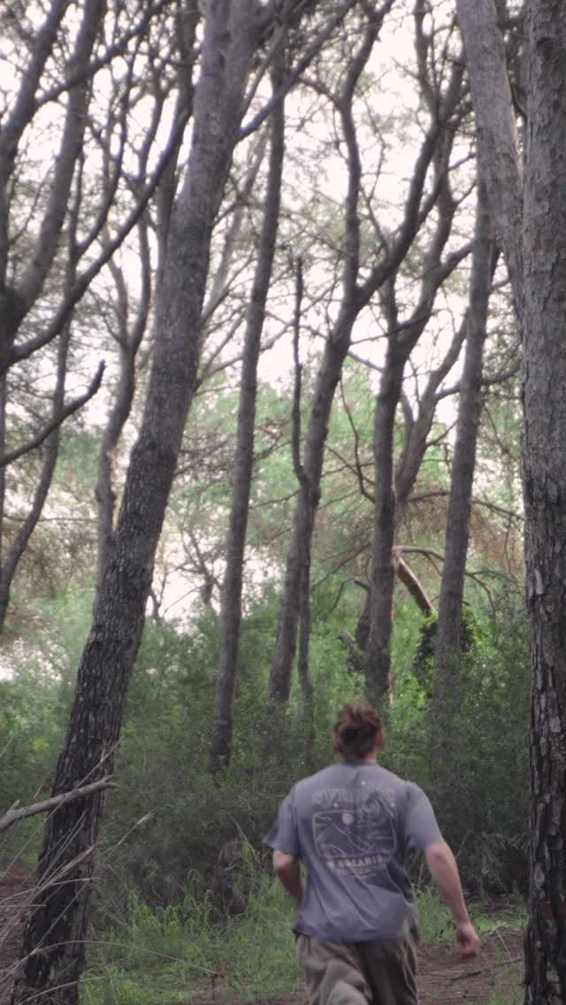 Post 1 by Louis on Instagram (video)
