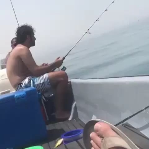 Post 3 by Pesk on Instagram (video)