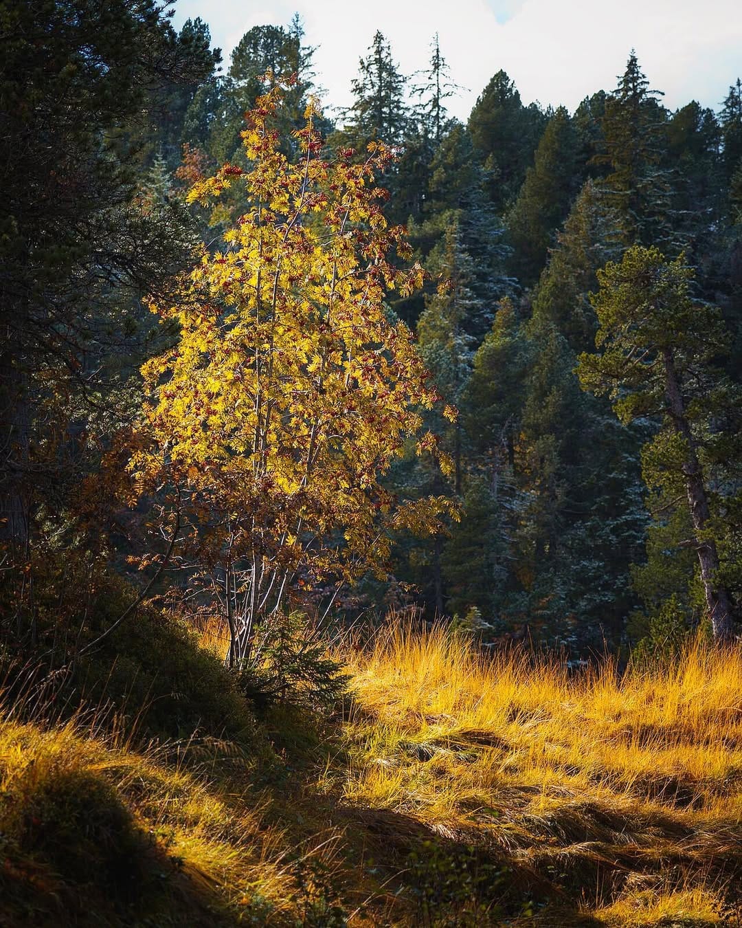 Post 7 by Adrian Graf on Instagram (image)