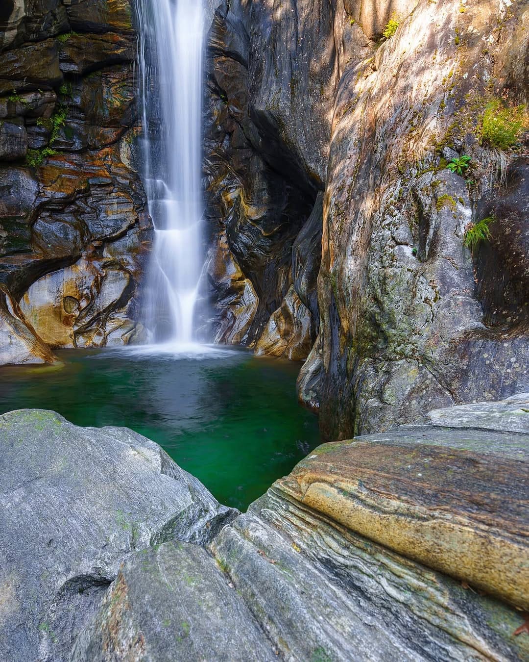 Post 5 by Adrian Graf on Instagram (image)