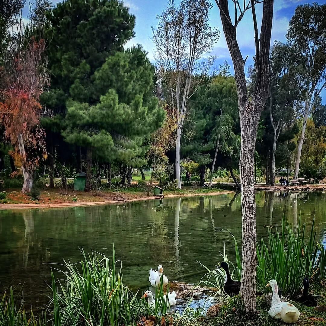 Post 5 by 🇹🇷✩a.b✩🇩🇰 on Instagram (image)