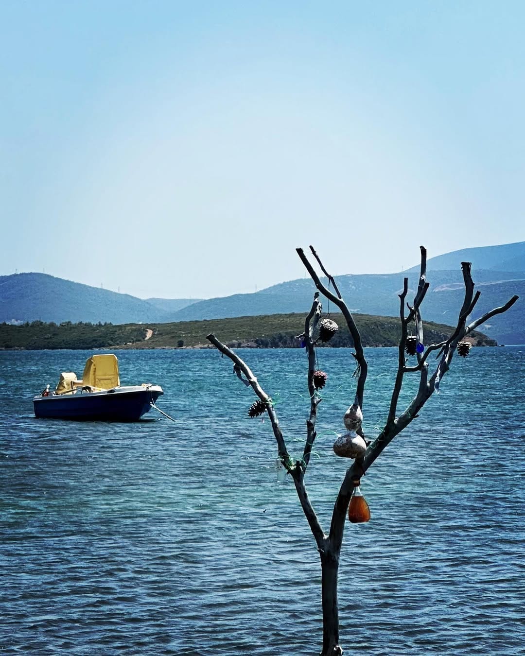 Post 8 by Tours & Photos on Instagram (image)