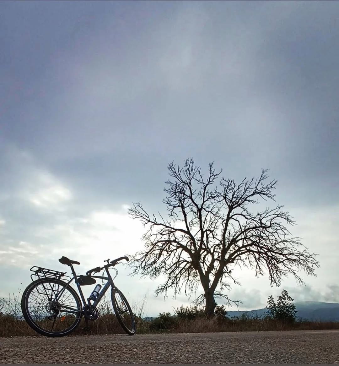 Post 5 by Tours & Photos on Instagram (image)