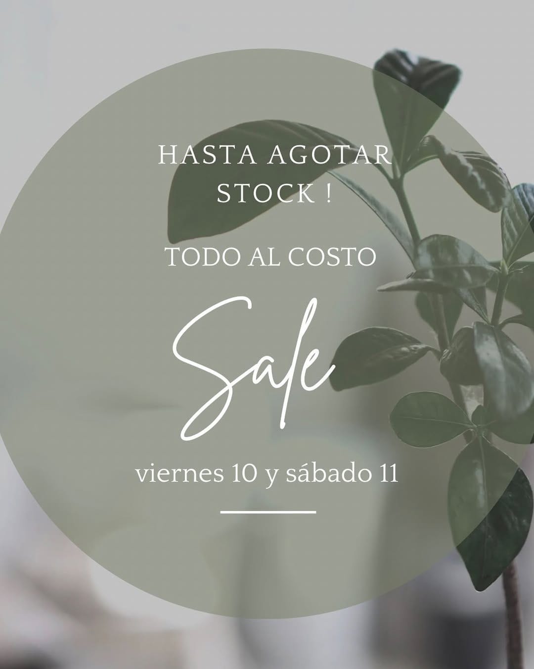 Post 5 by Indumentaria P R I D E on Instagram (image)
