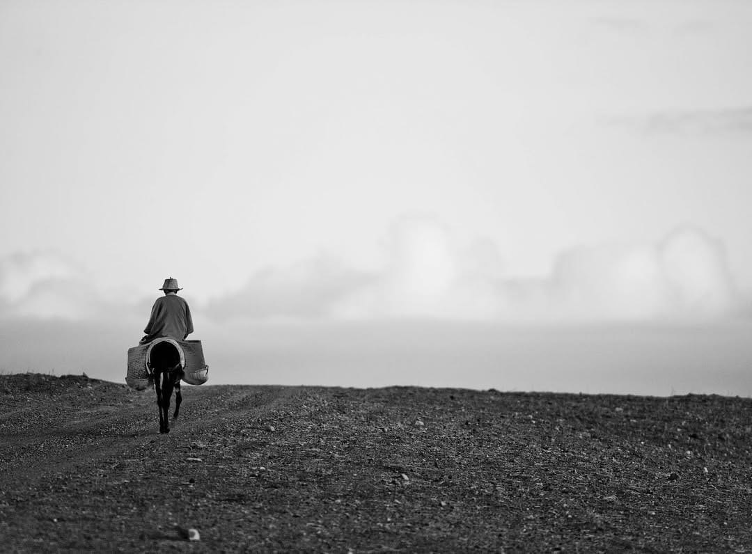 Post 9 by Tom Antal on Instagram (image)