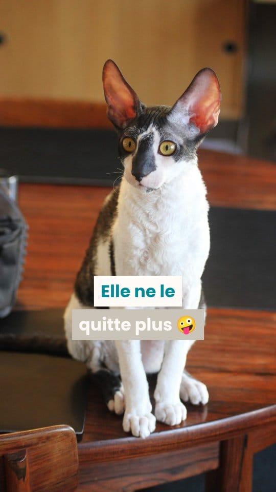 Post 8 by Audrey | O'Bout de la Plume® on Instagram (video)