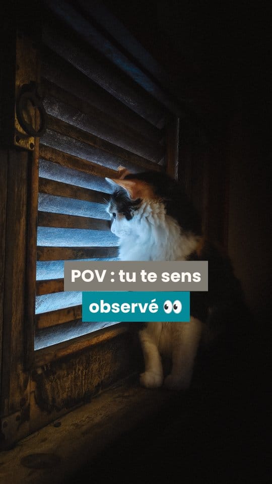 Post 4 by Audrey | O'Bout de la Plume® on Instagram (video)
