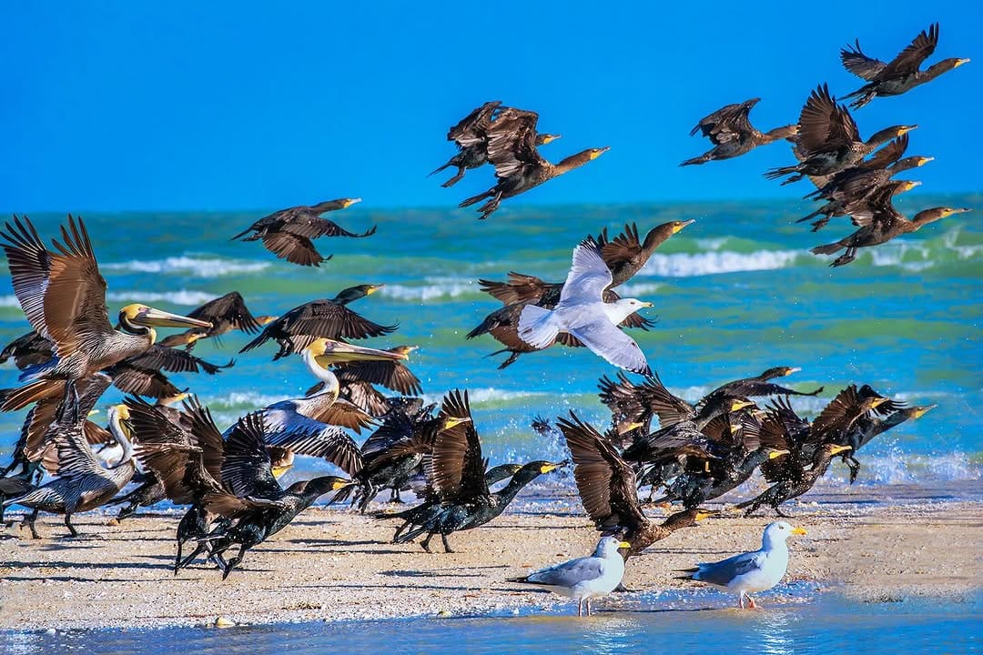 Post 1 by Victor Everardo Beltran on Instagram (image)