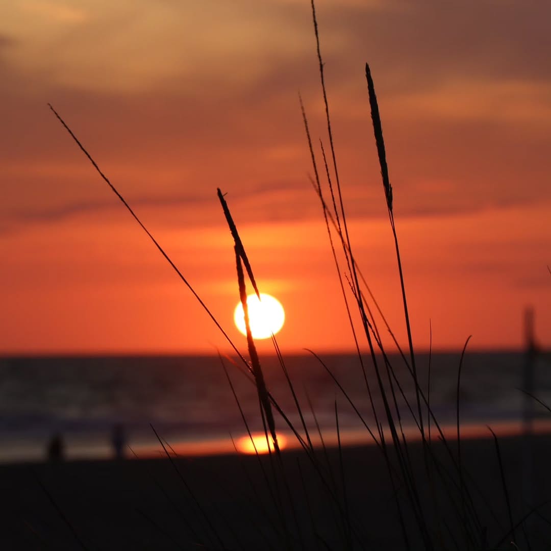 Post 5 by Joanna on Instagram (image)