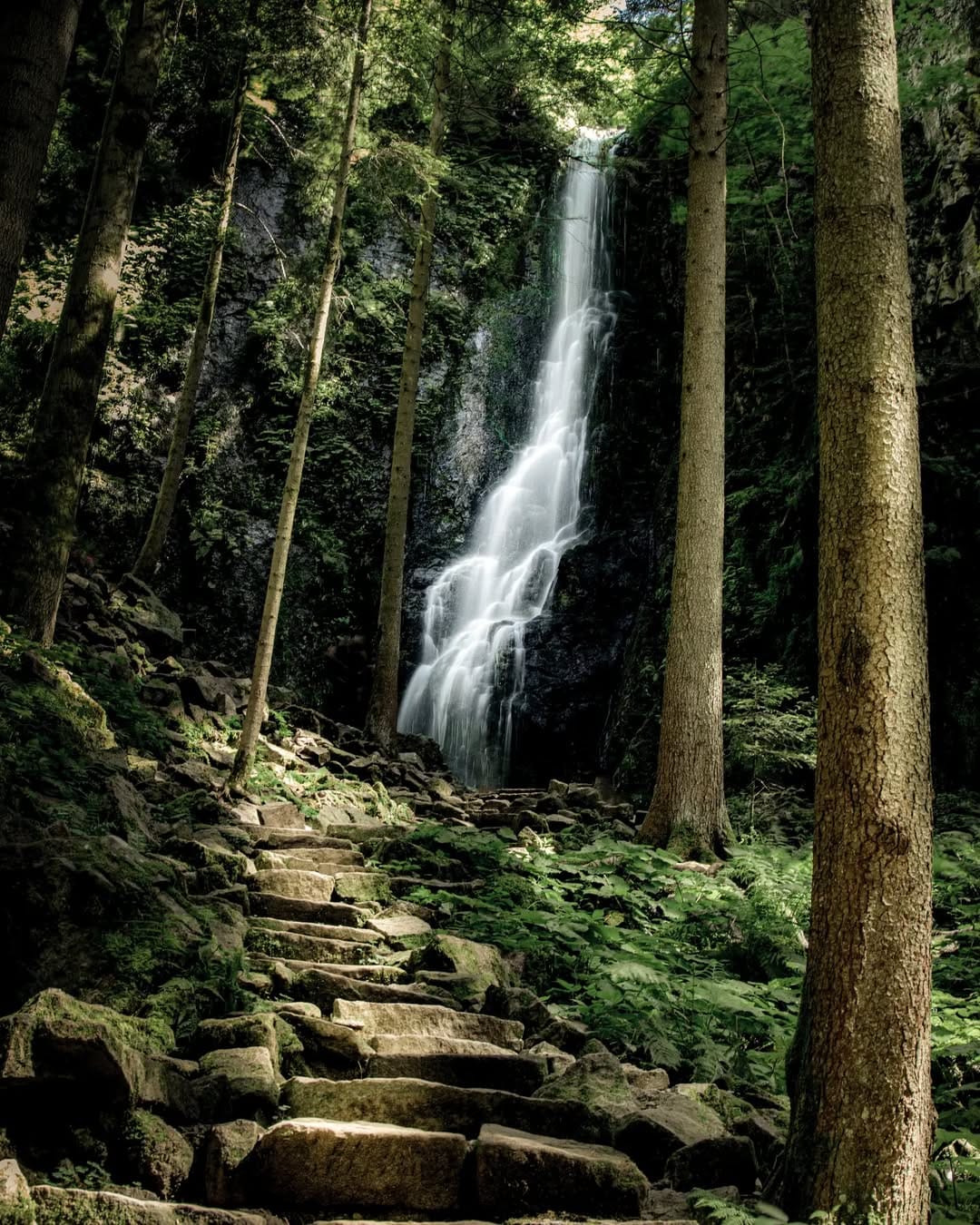 Post 10 by Joanna on Instagram (image)