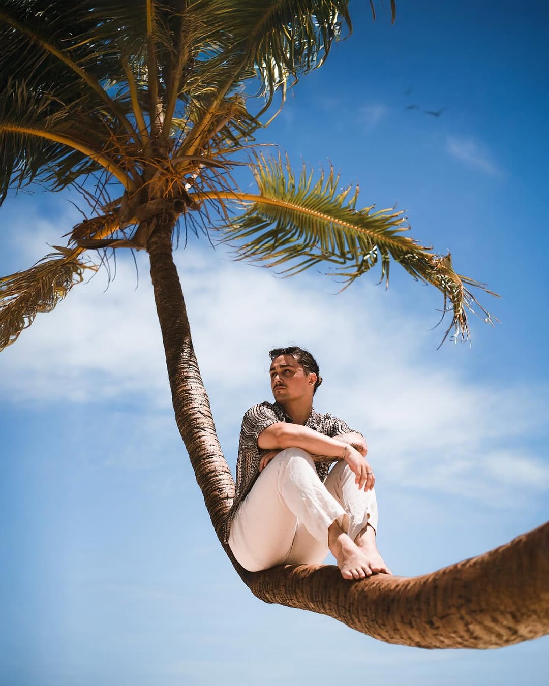 Post 6 by Alex P on Instagram (image)