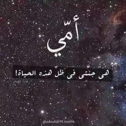 Post 2 by Shehab Abosnina on Instagram (image)