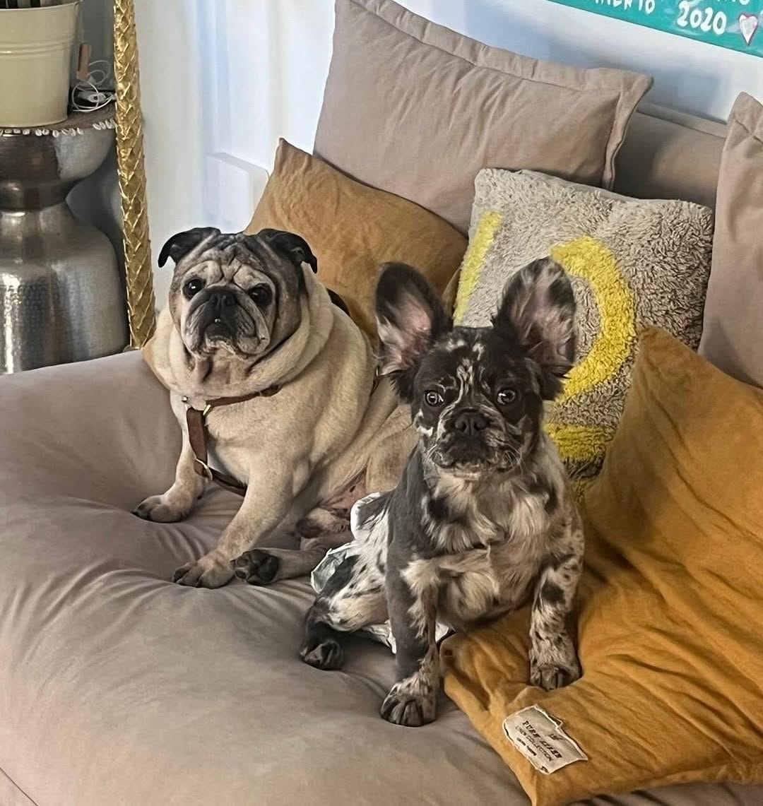 Post 3 by Ada Cañamares ❤️ on Instagram (carousel)