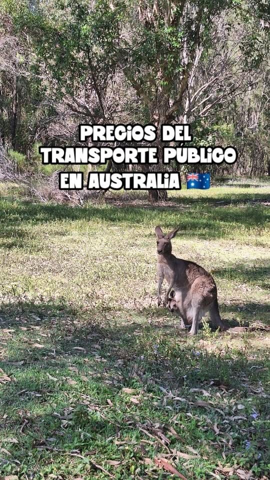 Post 6 by ✈️ ᴠɪᴀᴊᴏ | ᴘᴀʀᴀ ᴠɪᴠɪʀ on Instagram (video)