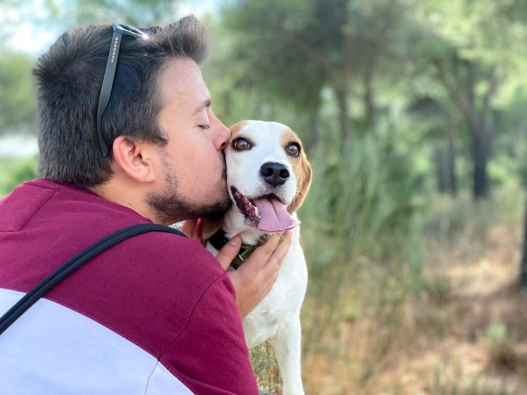 Post 3 by Sena 🐶🐾 on Instagram (image)
