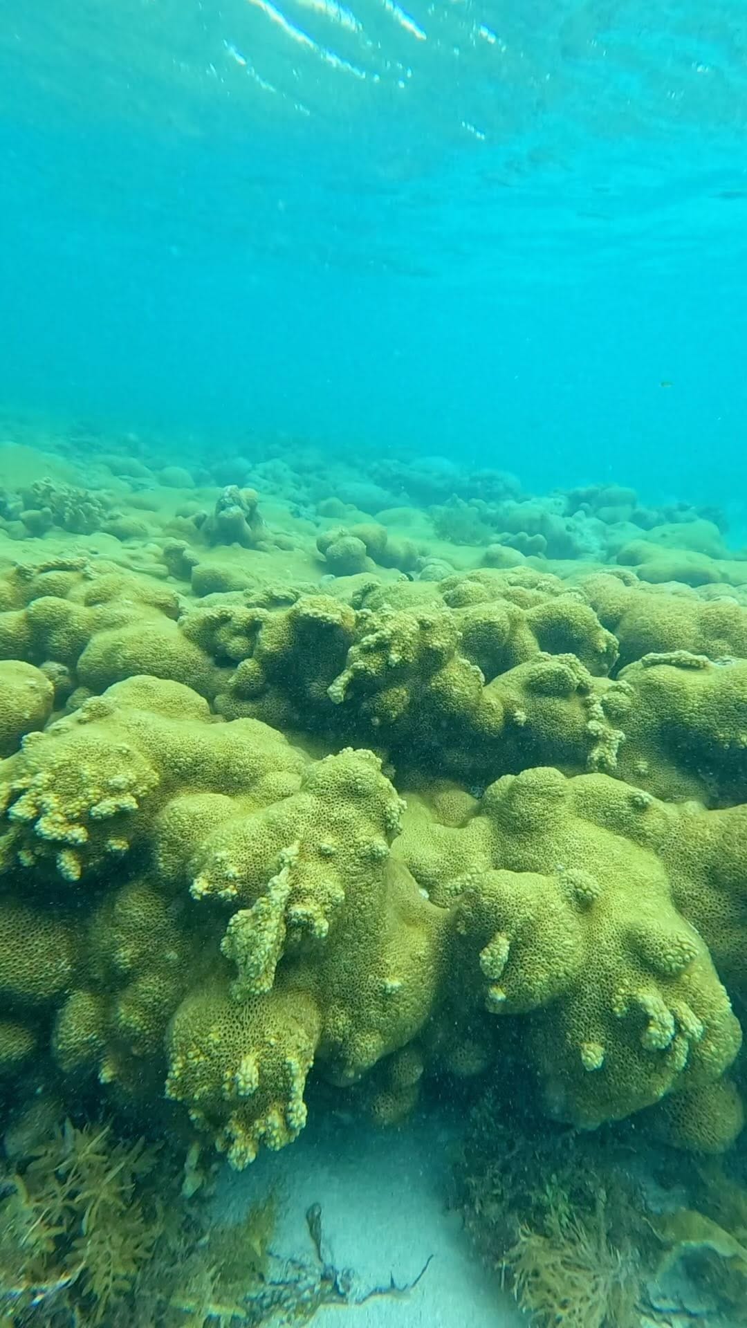Post 8 by Paulo Tarciso on Instagram (video)