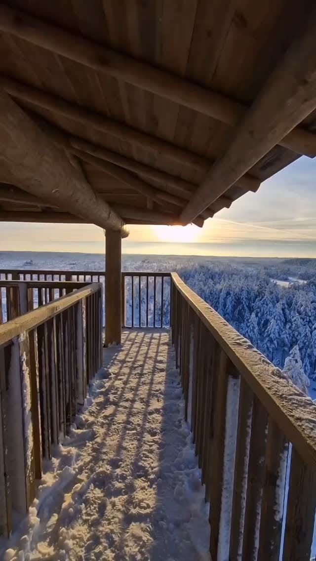 Post 10 by Baltictrend Hashtag 🇪🇪🇱🇻🇱🇹 on Instagram (video)