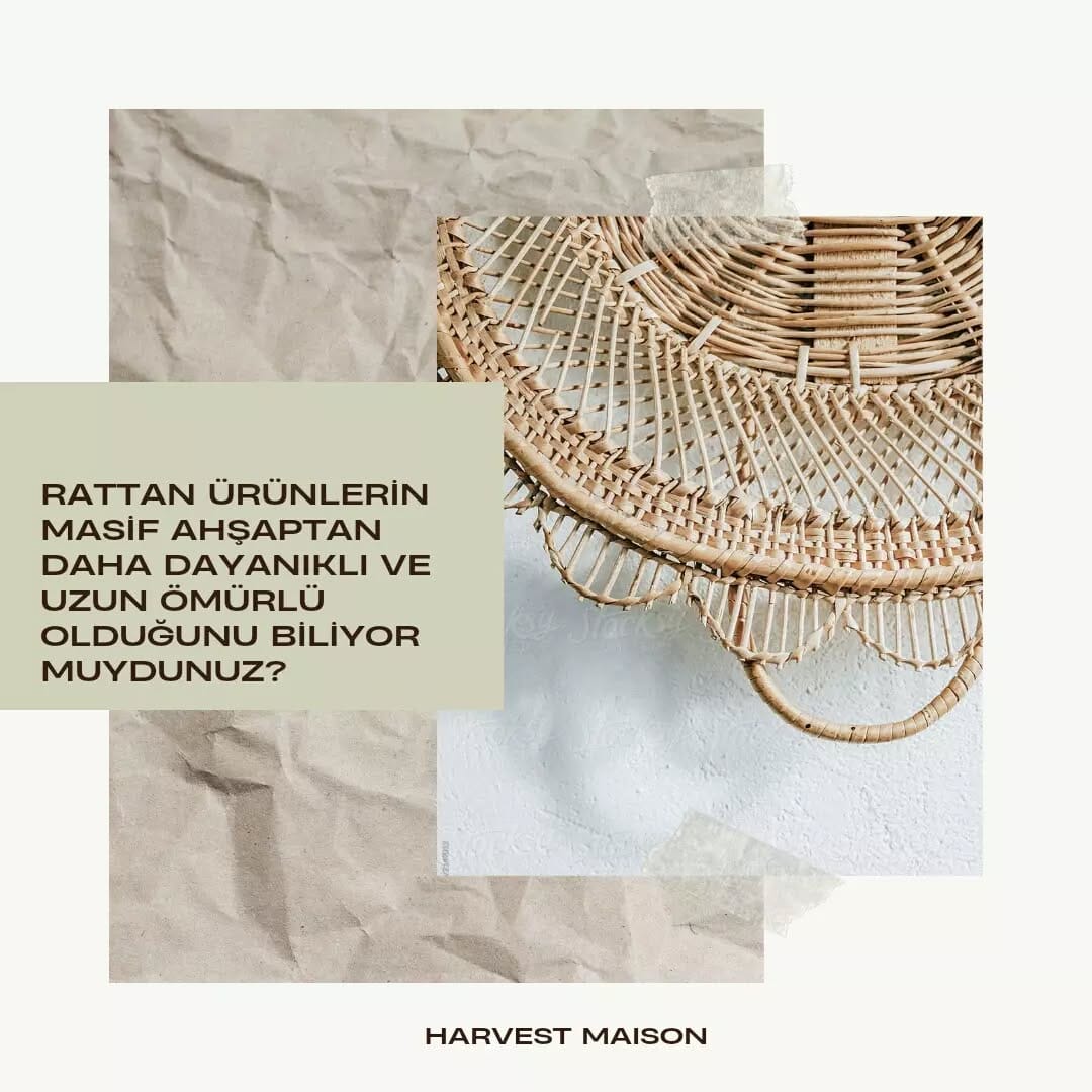 Post 8 by H A R V E S T  M A I S O N on Instagram (image)