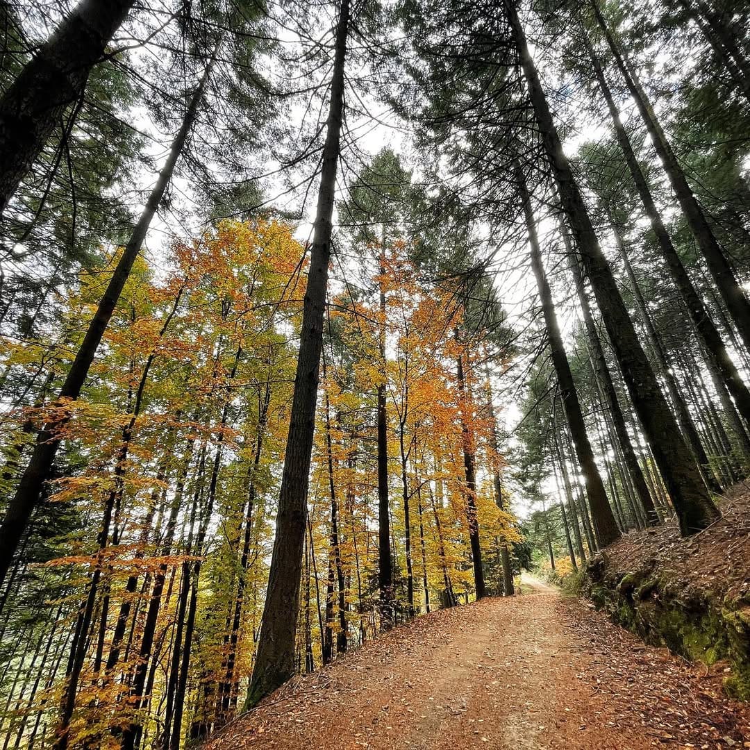 Post 2 by Carlos Carloto on Instagram (image)