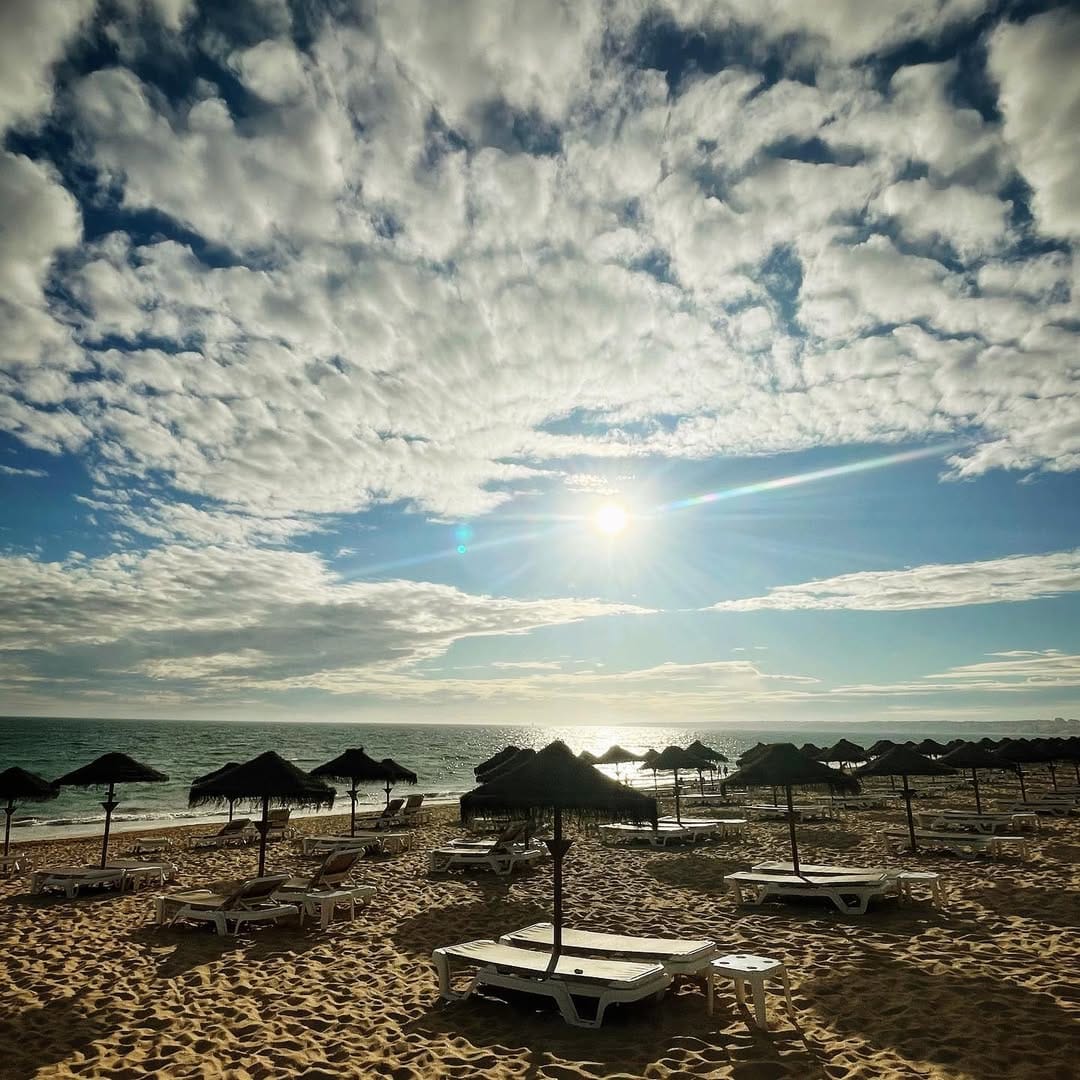 Post 6 by Carlos Carloto on Instagram (image)