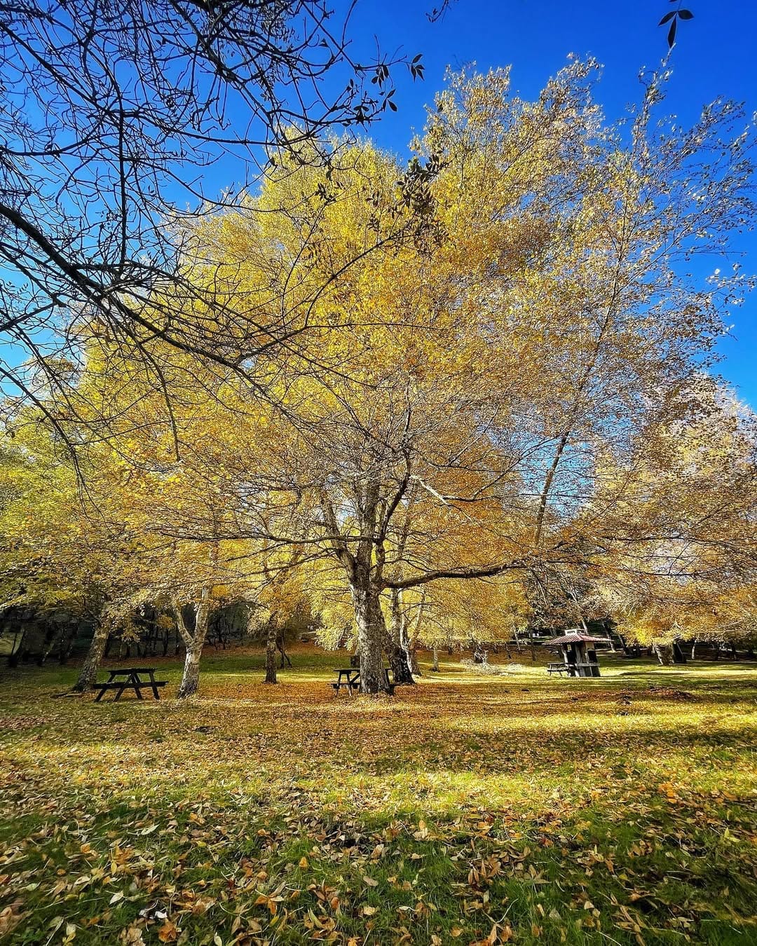 Post 3 by Carlos Carloto on Instagram (image)