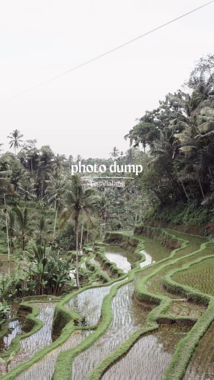 Post 8 by Lalaina White on Instagram (video)