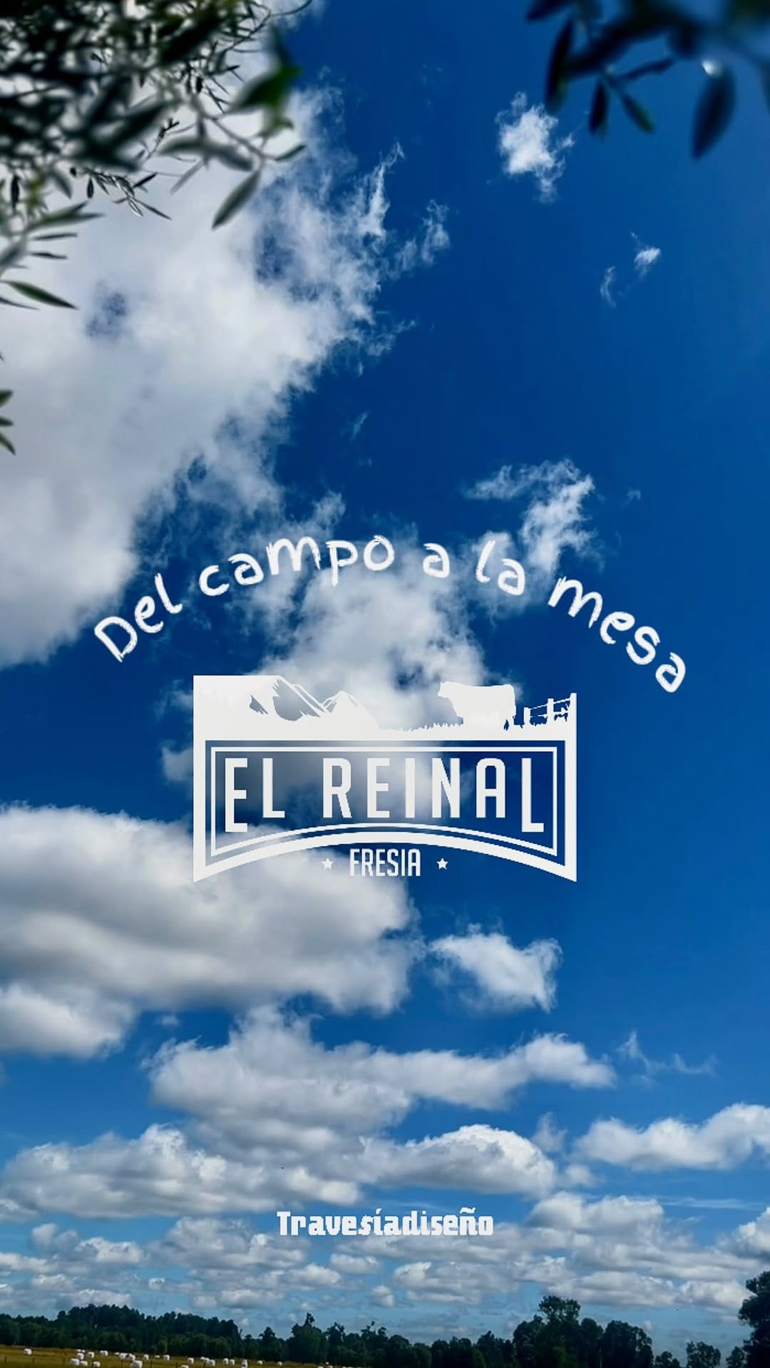 Post 2 by Diente de León on Instagram (video)