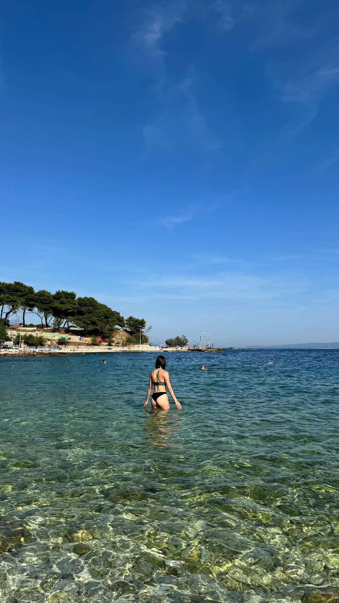 Post 10 by Alicia on Instagram (video)